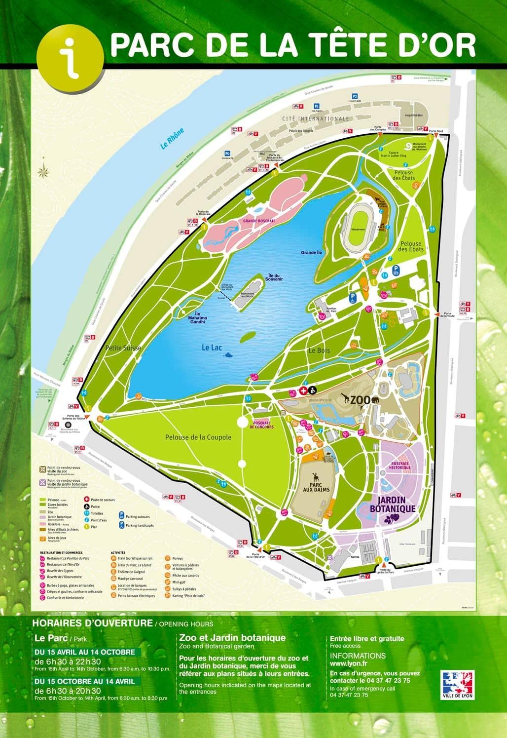 kart Lyon bağ